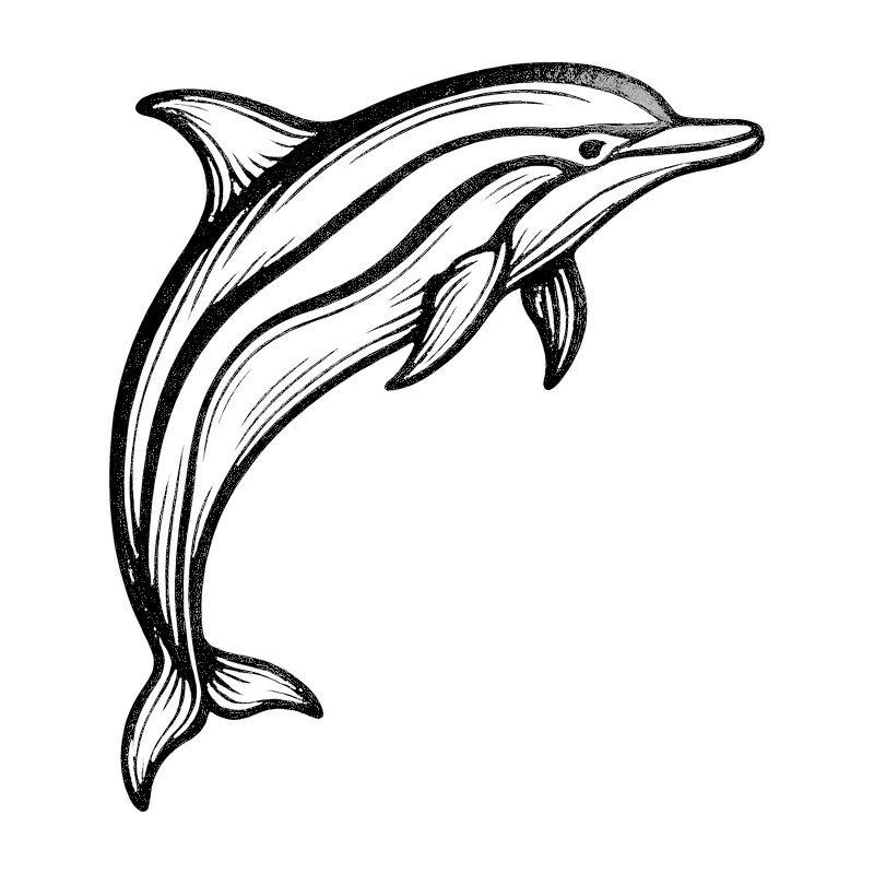 dolphin