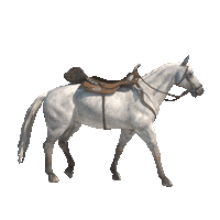 horse